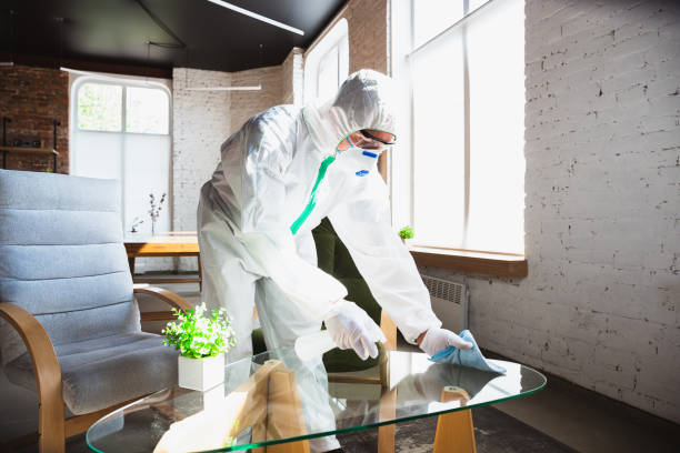 Why You Should Choose Our Mold Remediation Services in Eagle Lake, TX